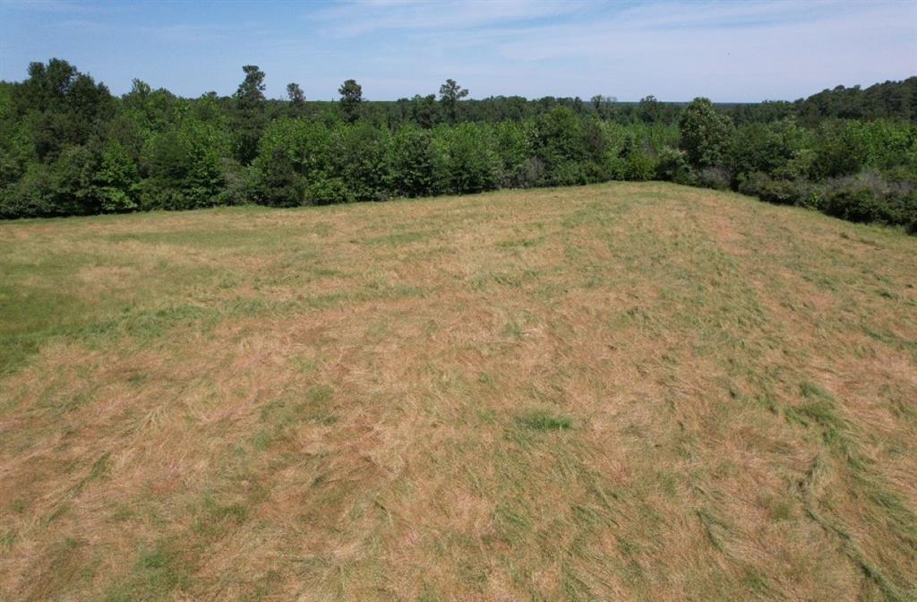 Tbd County Road 432 Property Photo 22
