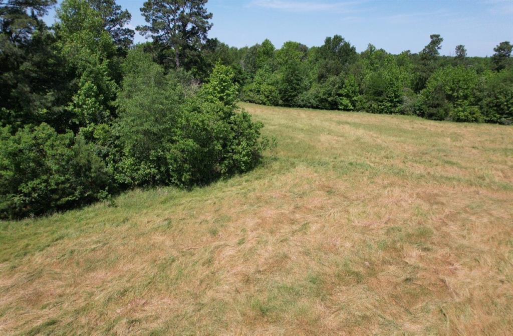 Tbd County Road 432 Property Photo 23