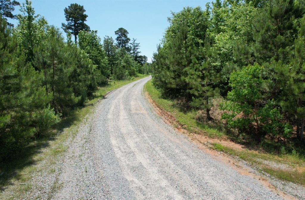 Tbd County Road 432 Property Photo 25