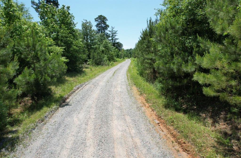 Tbd County Road 432 Property Photo 26