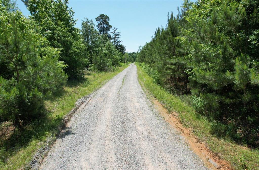 Tbd County Road 432 Property Photo 27