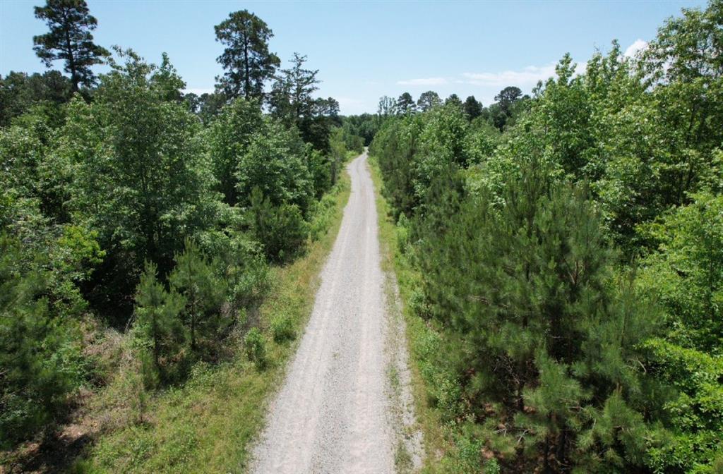 Tbd County Road 432 Property Photo 29