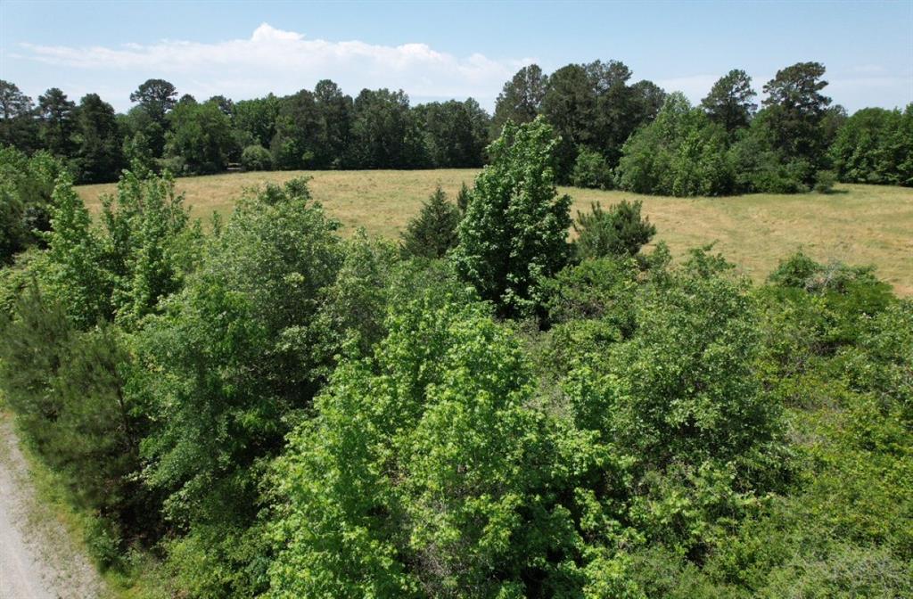 Tbd County Road 432 Property Photo 31