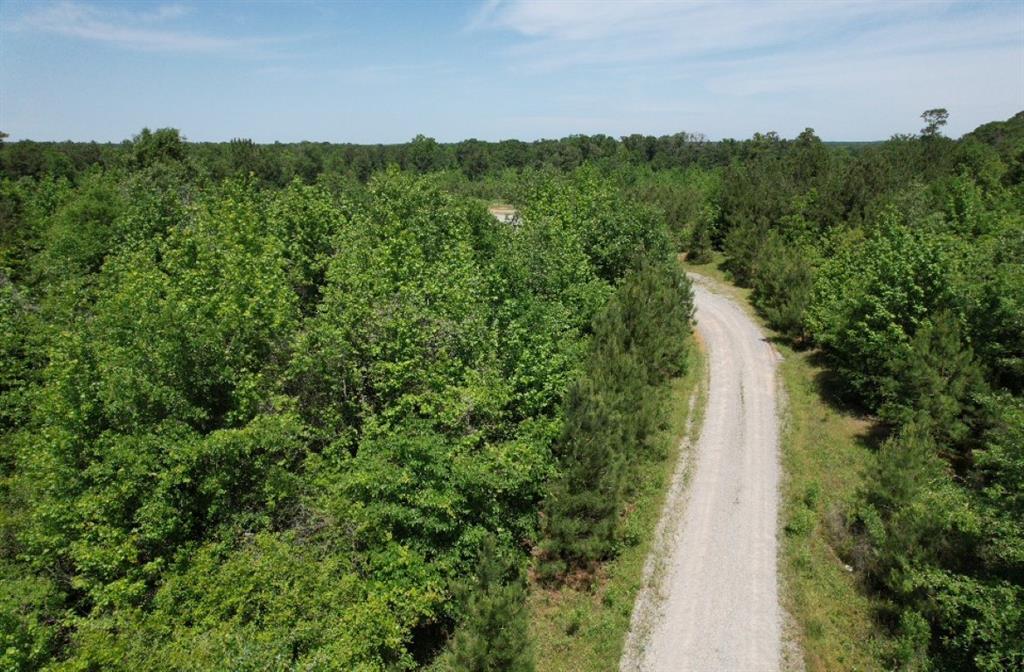 Tbd County Road 432 Property Photo 33