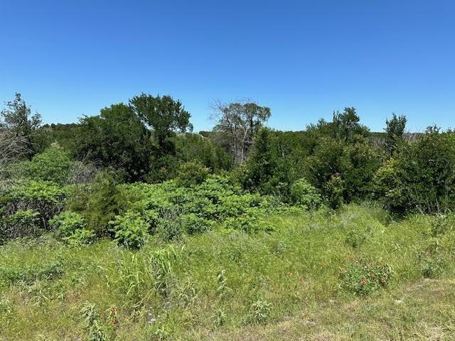 Lot 623 Caprock Court Property Photo 6