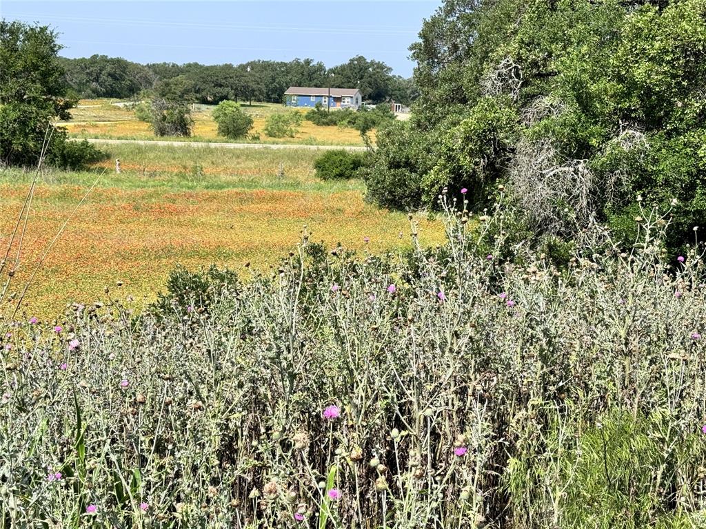 Tbd Lot 991, 992 Long View Drive Property Photo 8