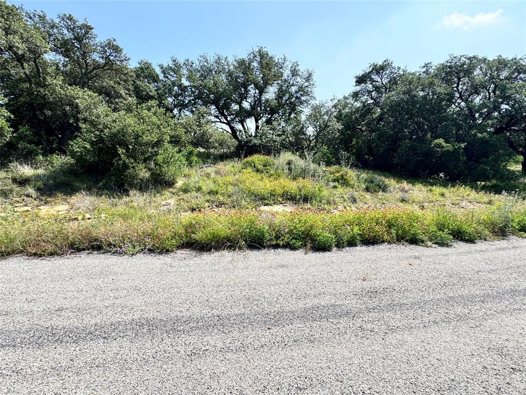Tbd Lot 991, 992 Long View Drive Property Photo 17