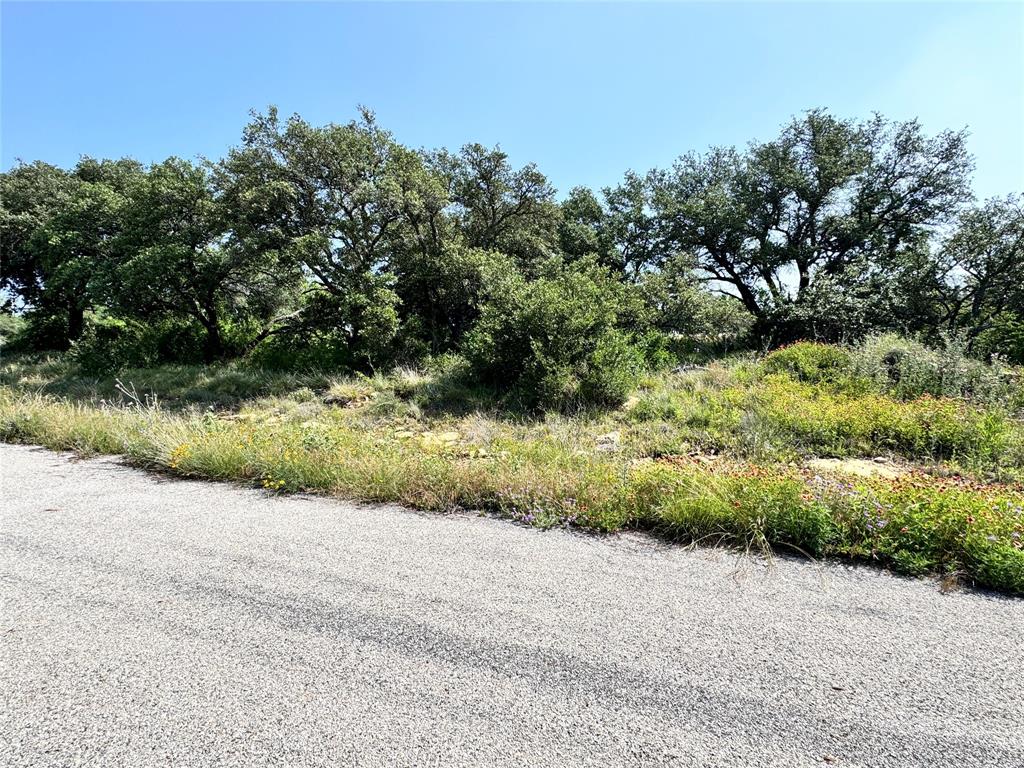 Tbd Lot 991, 992 Long View Drive Property Photo 18