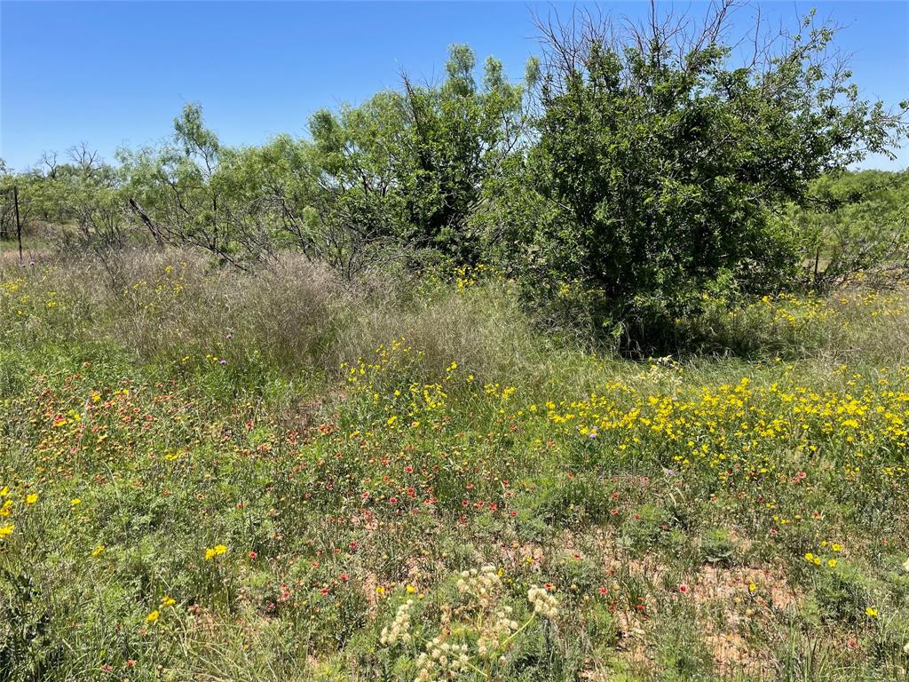 0 Cr 432 Property Photo 9