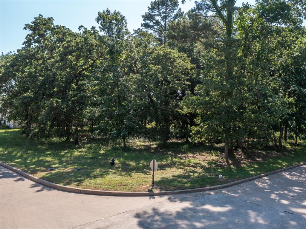 160 S Eagles Bluff Boulevard Property Photo 2