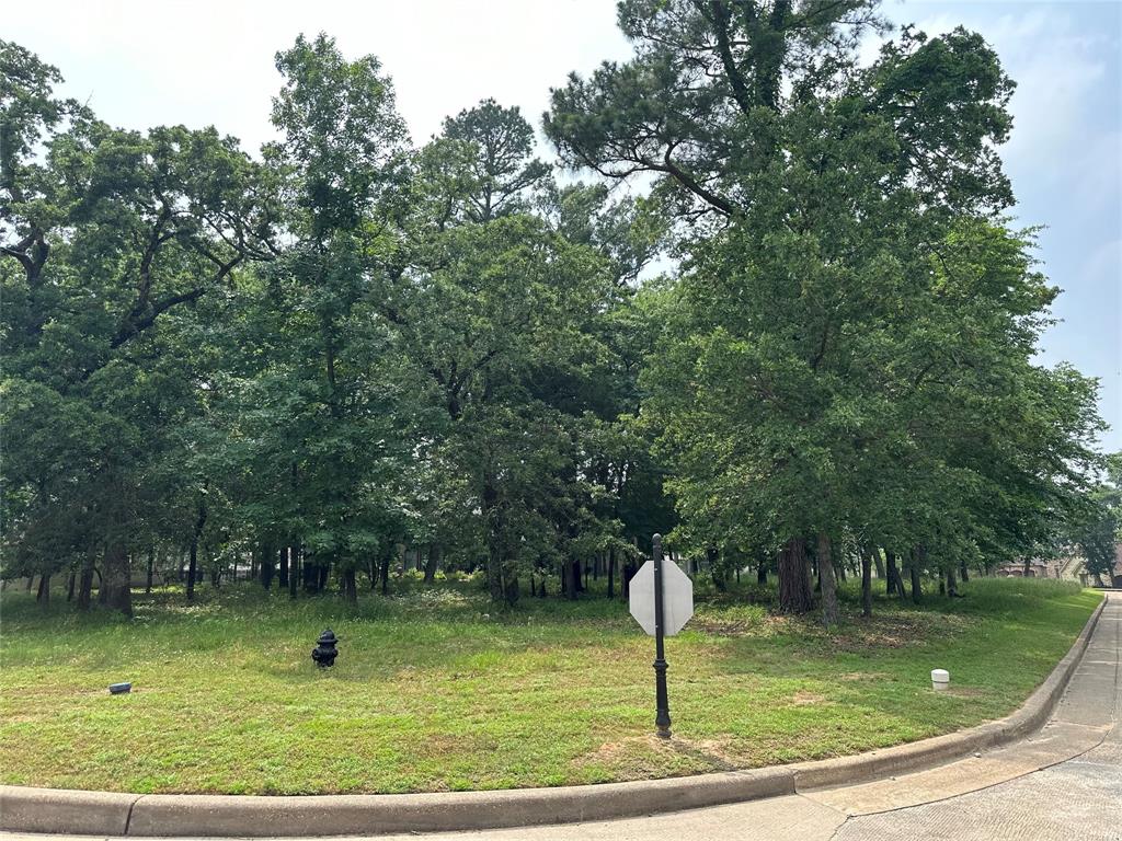 160 S Eagles Bluff Boulevard Property Photo 3