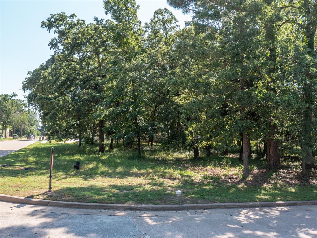 160 S Eagles Bluff Boulevard Property Photo 5