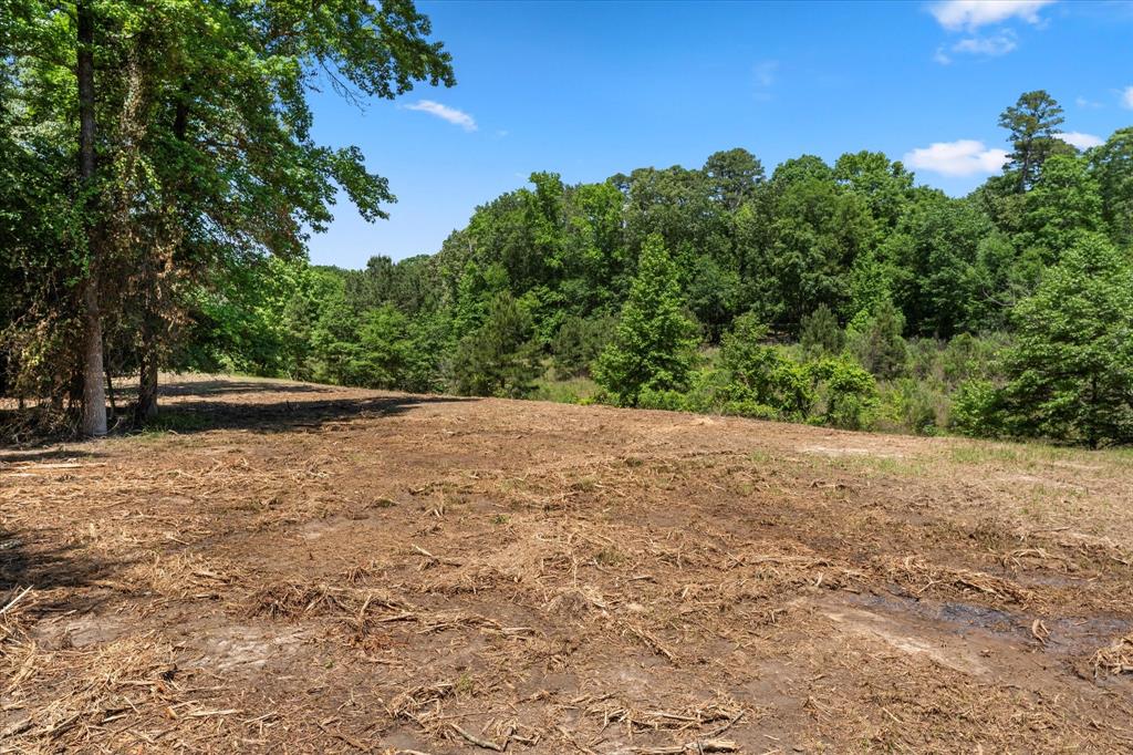 65r King Frederick Court Property Photo 14