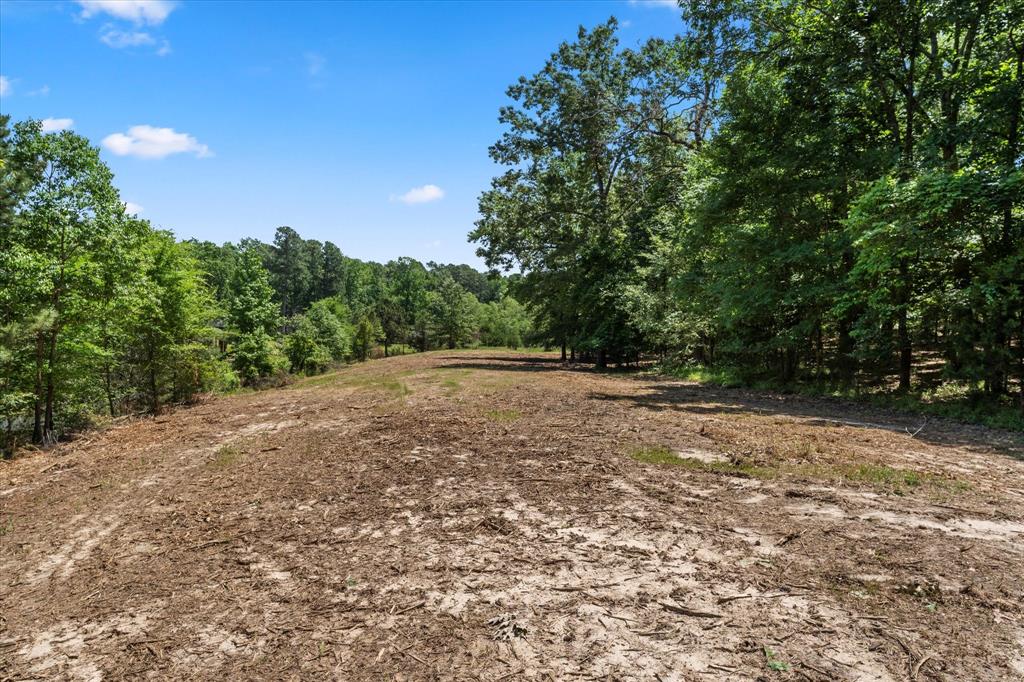 65r King Frederick Court Property Photo 17