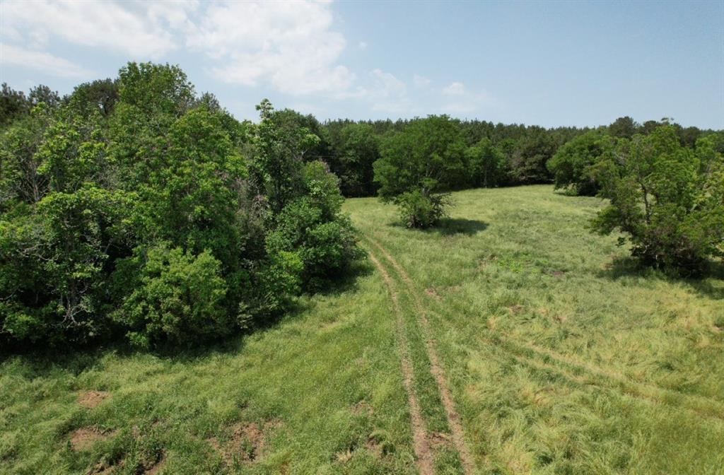 Tbd-c County Road 4653 Property Photo 2
