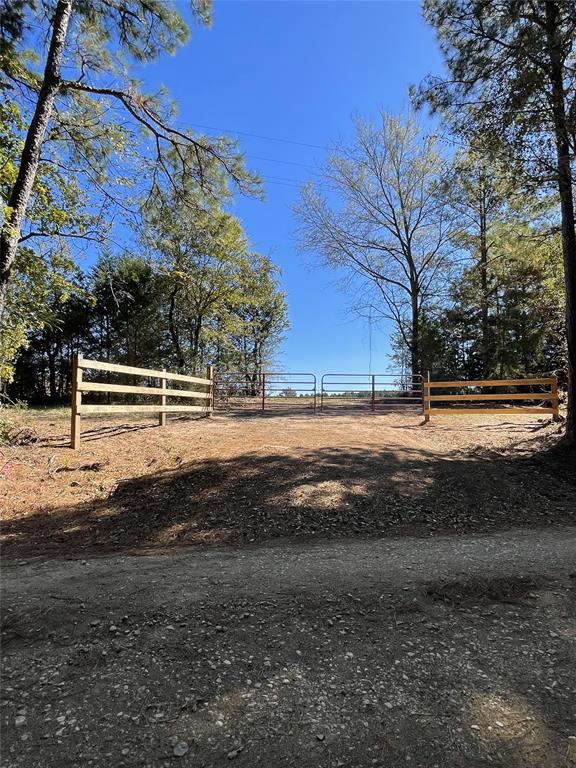 Tbd-c County Road 4653 Property Photo 3