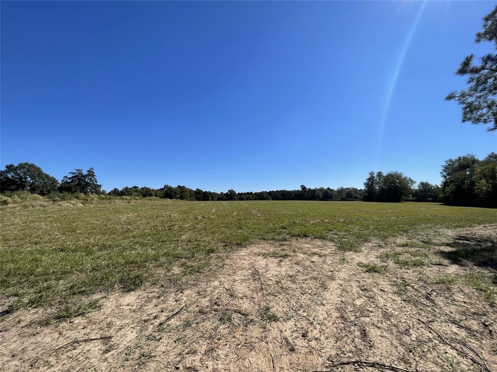 Tbd-c County Road 4653 Property Photo 4
