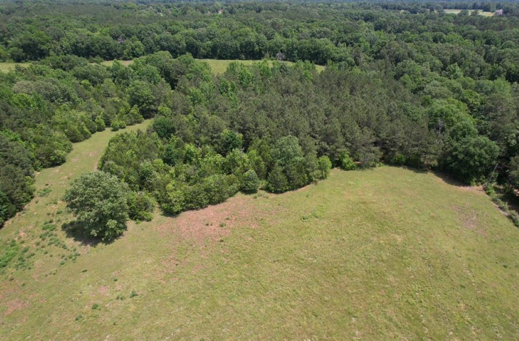 Tbd-c County Road 4653 Property Photo 5