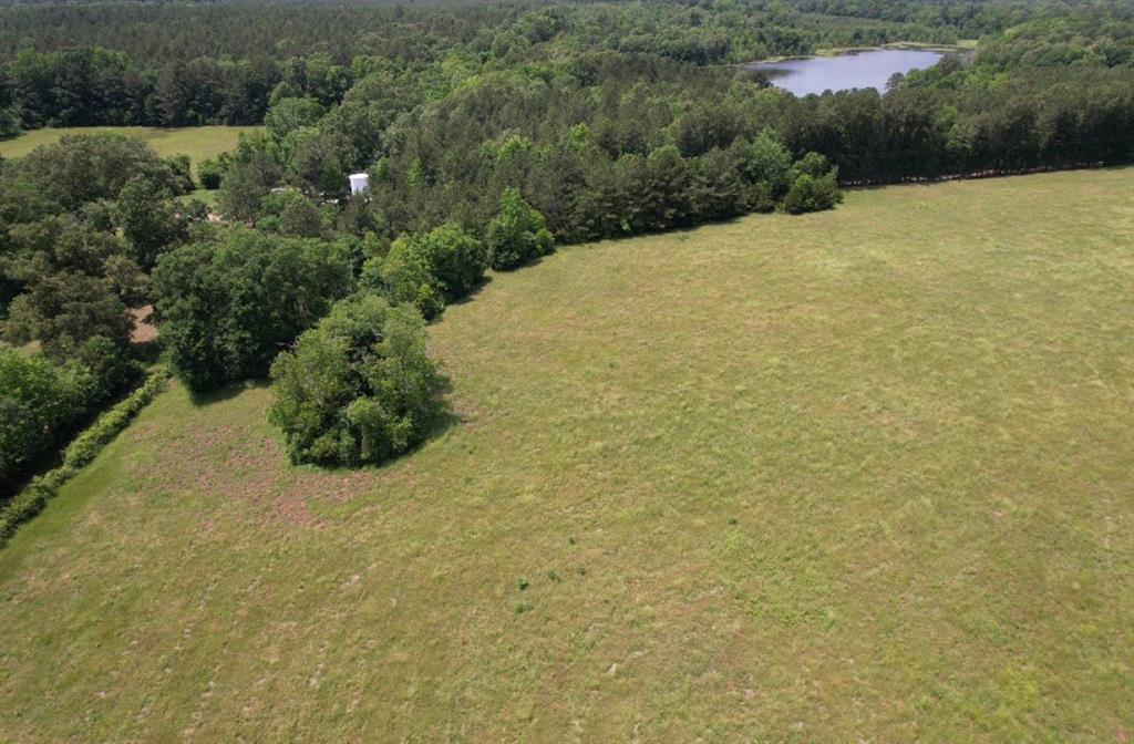 Tbd-c County Road 4653 Property Photo 6