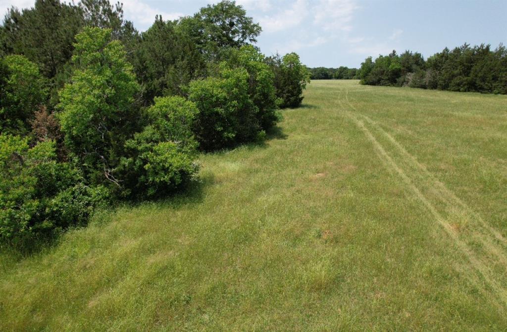Tbd-c County Road 4653 Property Photo 7