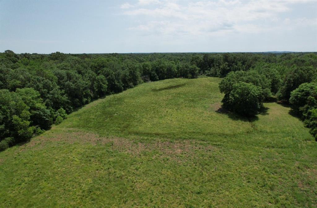 Tbd-c County Road 4653 Property Photo 8