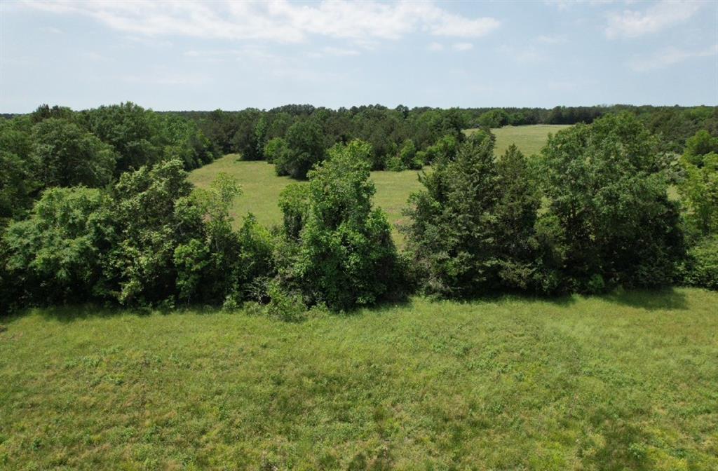 Tbd-c County Road 4653 Property Photo 9