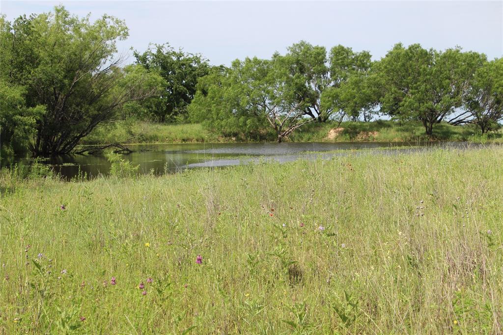 9999 County Road 334 Property Photo 7