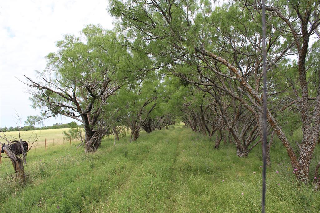 9999 County Road 334 Property Photo 10