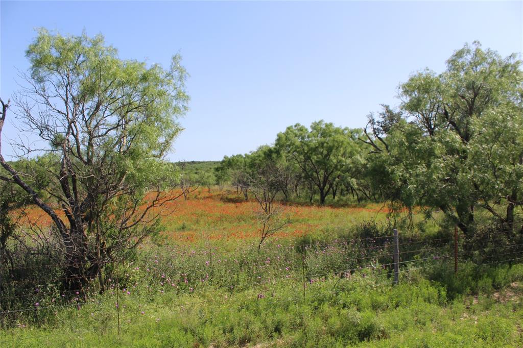 9999 County Road 334 Property Photo 15