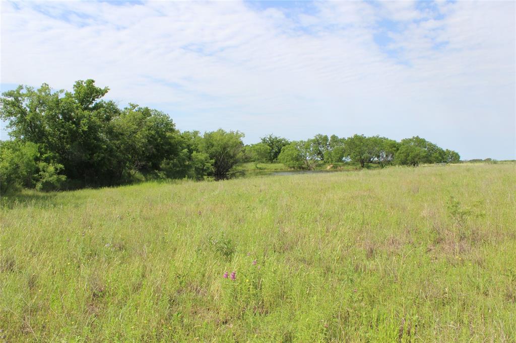 9999 County Road 334 Property Photo 21