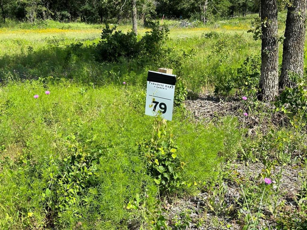 Lot 79 Paradise Oaks Property Photo 1