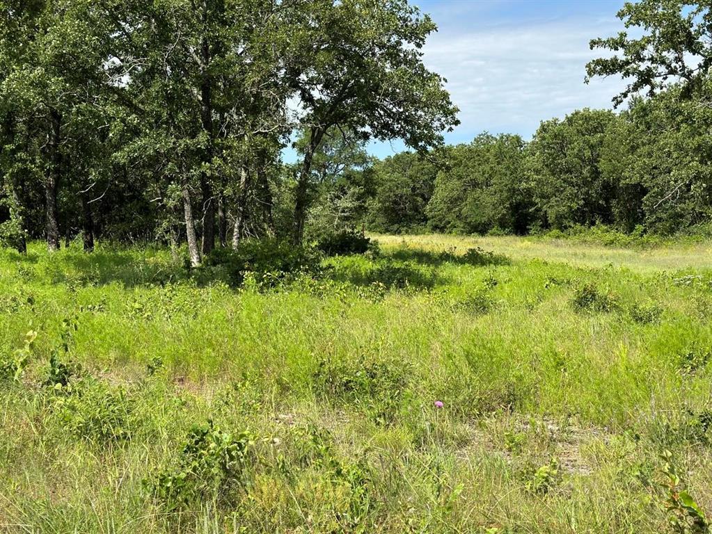 Lot 79 Paradise Oaks Property Photo 2