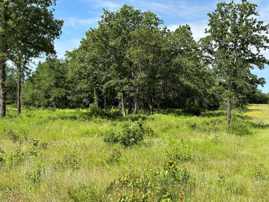 Lot 79 Paradise Oaks Property Photo 3