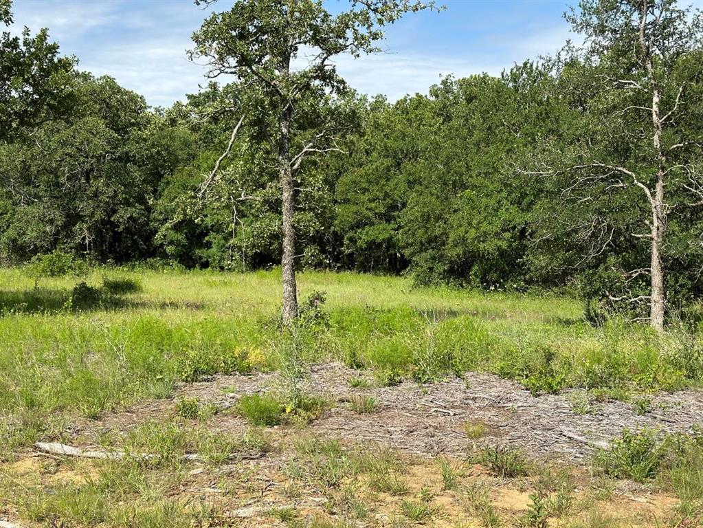 Lot 79 Paradise Oaks Property Photo 4