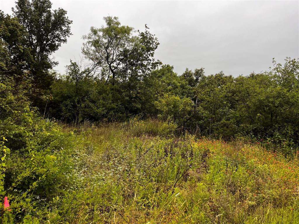 Lot 669 Ballycastle Drive Property Photo 1