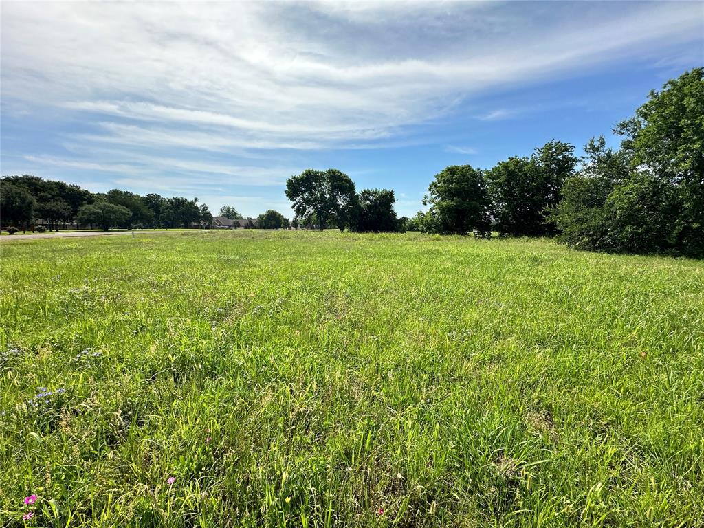Lot 79 Tonkawa Trail Property Photo 6