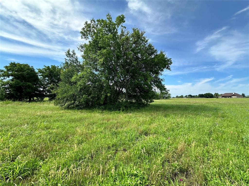 Lot 79 Tonkawa Trail Property Photo 11