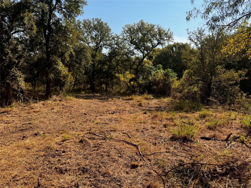 Lot 21 Lagoon Property Photo 6