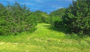 17129 Trailwood Drive Property Photo 4