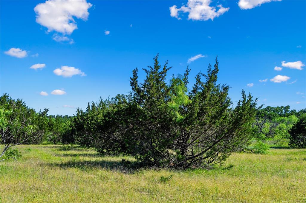 Tbd Adell Property Photo 35