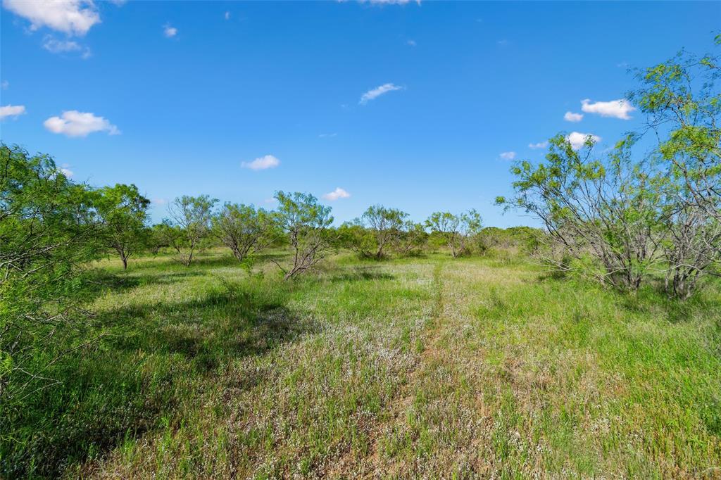 Tbd Adell Property Photo 37