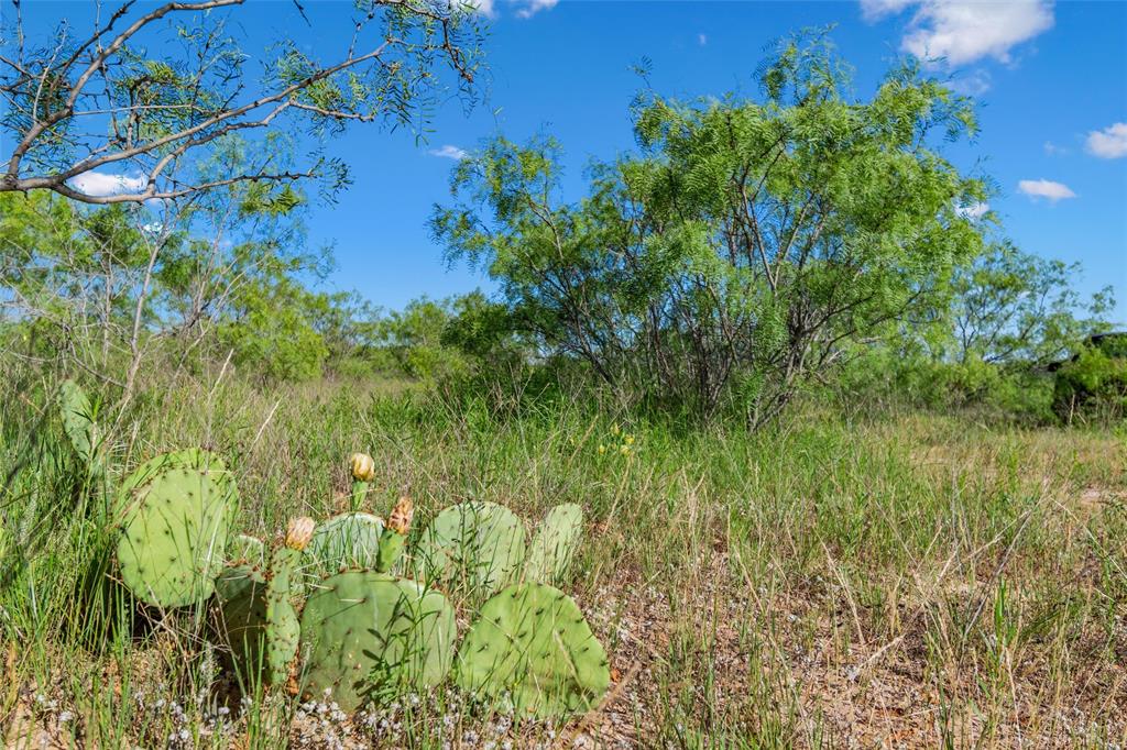 Tbd Adell Property Photo 39