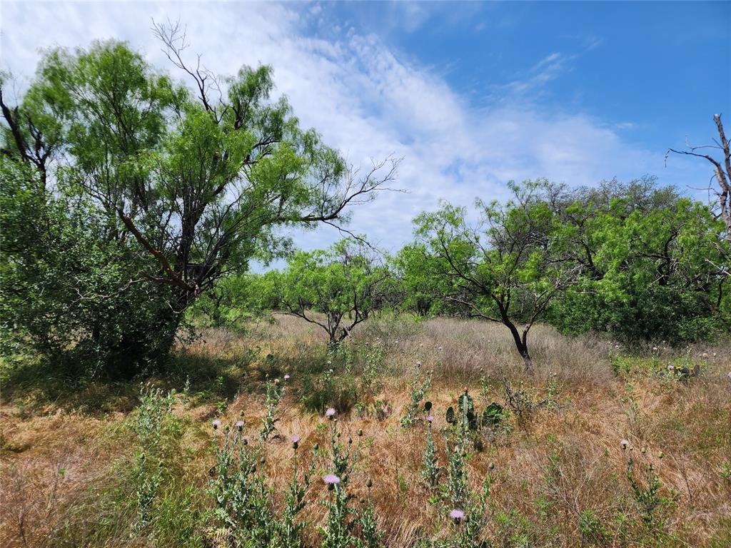 Tbd County Road 125 Property Photo 2