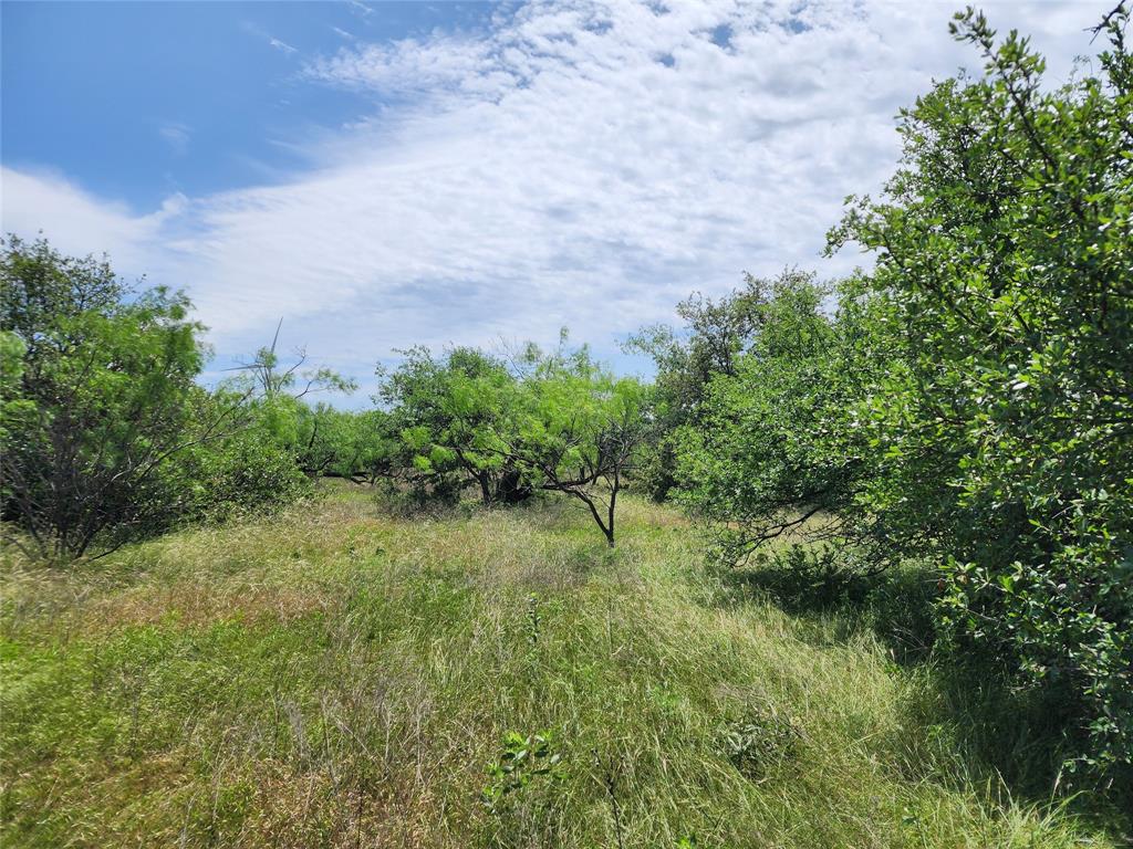 Tbd County Road 125 Property Photo 3
