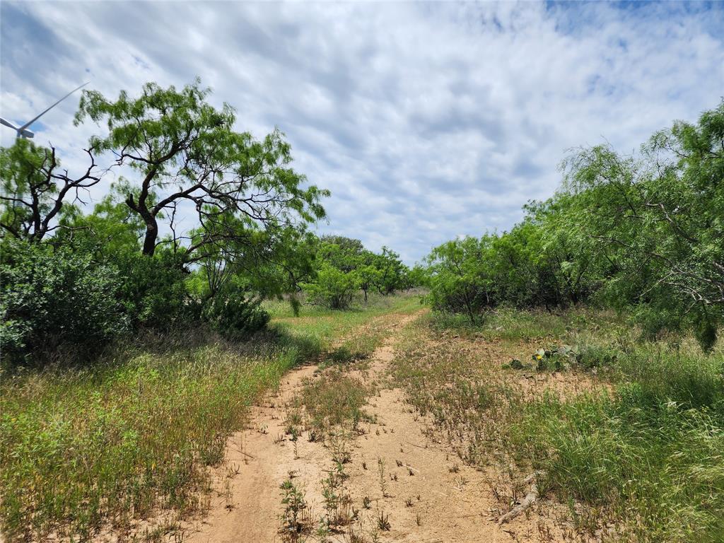 Tbd County Road 125 Property Photo 4