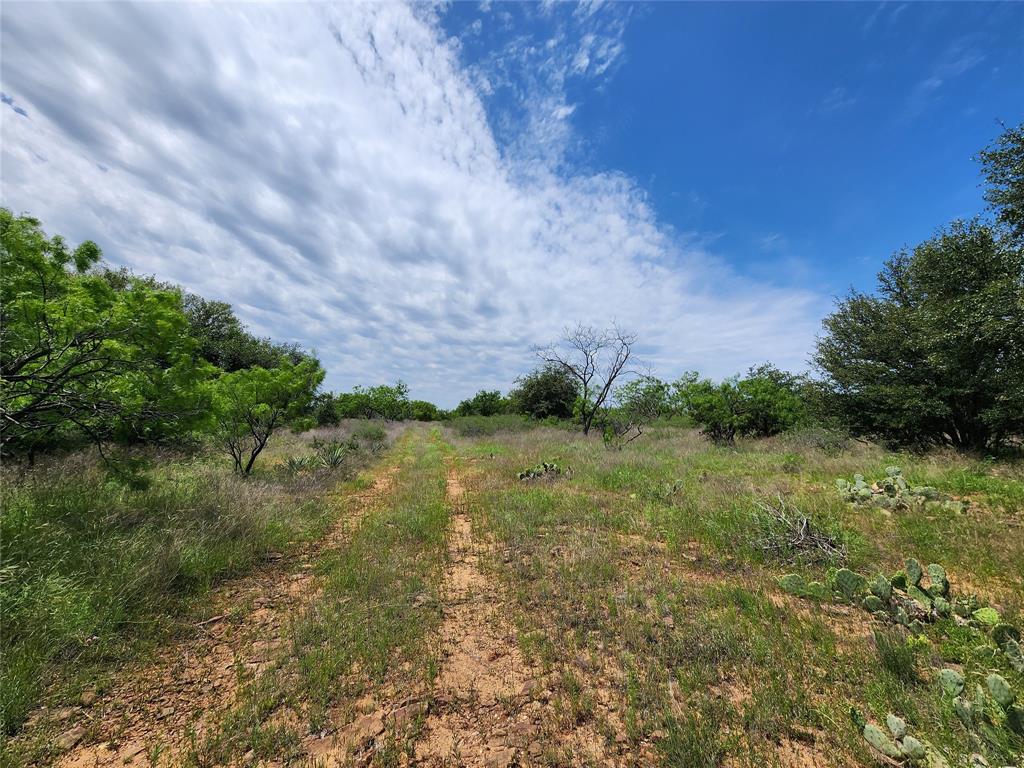 Tbd County Road 125 Property Photo 6