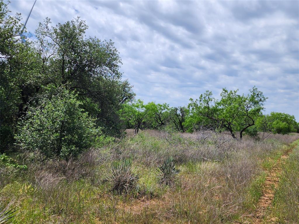 Tbd County Road 125 Property Photo 7
