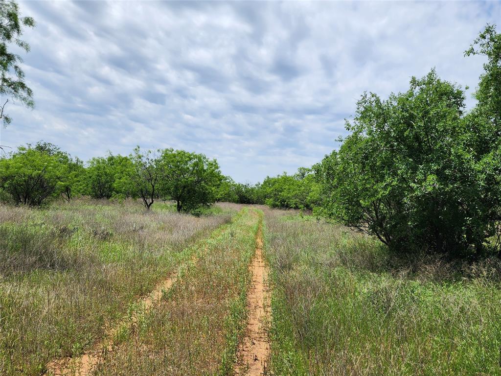 Tbd County Road 125 Property Photo 8