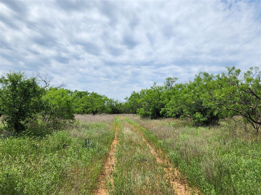 Tbd County Road 125 Property Photo 9