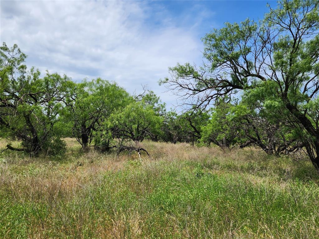 Tbd County Road 125 Property Photo 10